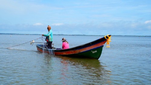 ลอดอุโมงค์โกงกาง